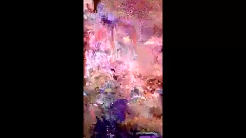 pussycat1331 online show from 22, 4, 2026