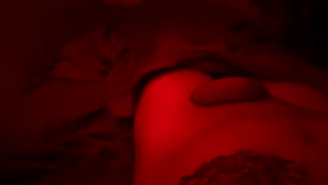 Pussylicker online show from 30, 3, 2026