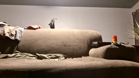 pussylicker517038 online show from 20, 4, 2026