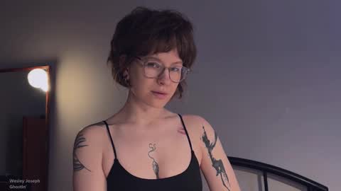    online show from 11, 11, 2025