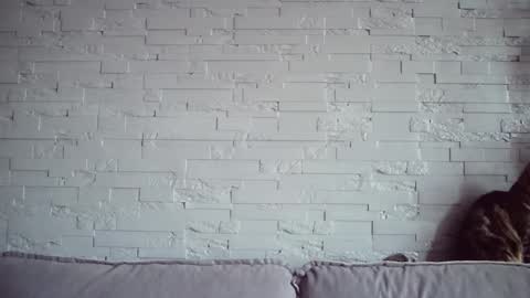 Snapshot of queenofmodels chatting on 17, 11, 2025 QueenOfModels online show from 17, 11, 2025