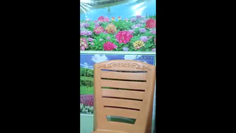 queensuperlady online show from 18, 1, 2026