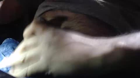 Snapshot of quickienerd chatting on 16, 12, 2024 oilypanda online show from 16, 12, 2024