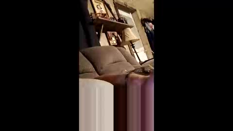 qwcipudorthw online show from 7, 4, 2026