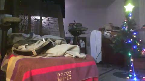 qwerty__pop online show from 15, 12, 2025