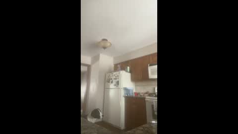 rabbi_poolnoodle online show from 16, 1, 2026