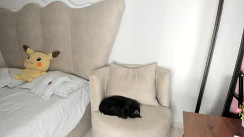 Snapshot of rachaeldeckard chatting on 17, 12, 2024 natalia - online show from 17, 12, 2024