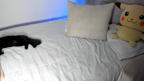 Snapshot of rachaeldeckard chatting on 28, 1, 2025 natalia - online show from 28, 1, 2025