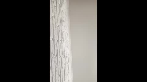 radu508 online show from 14, 4, 2026