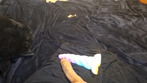 raerae02 online show from 6, 5, 2026