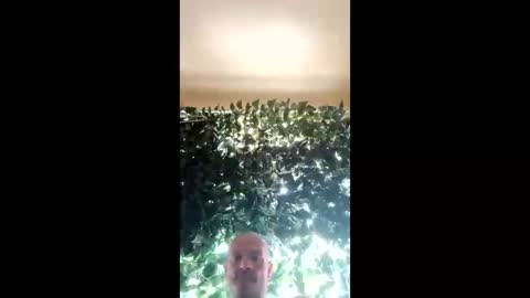 Bigthickdickinvic online show from 2, 3, 2025