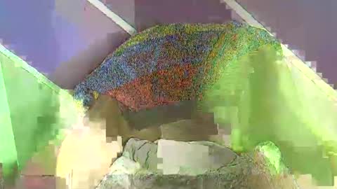 rainbow baby26 online show from 18, 11, 2025