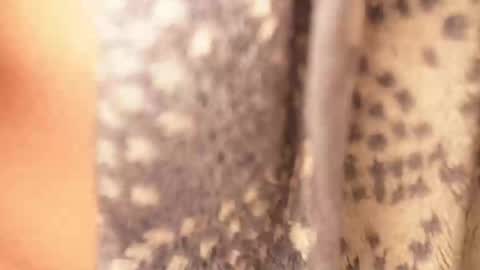 Snapshot of ramichick chatting on 17, 2, 2025 Rami online show from 17, 2, 2025