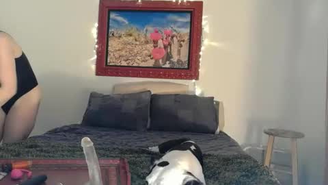    RAMONA Q   online show from 14, 4, 2026