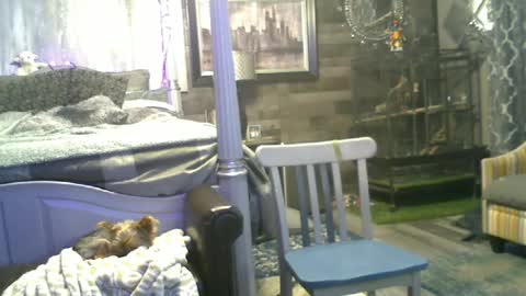 Randy8inbater online show from 15, 6, 2026