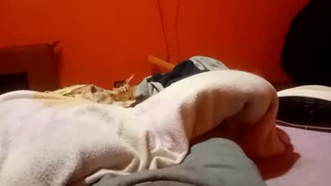 raulillo19842 online show from 19, 2, 2026