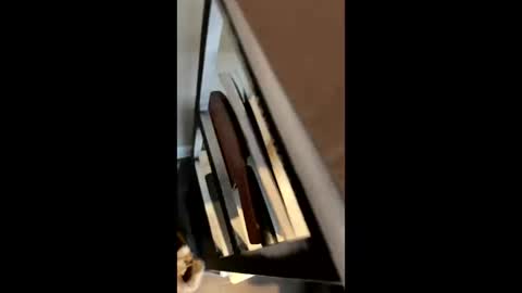 Snapshot of ravenxbeastie chatting on 17, 2, 2025 ravenxbeastie online show from 17, 2, 2025