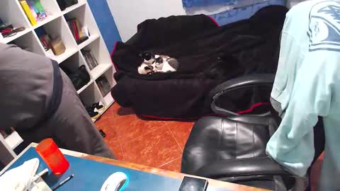 Snapshot of ravingr3d3 chatting on 21, 12, 2025 ravingr3d3 online show from 21, 12, 2025