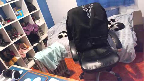 Snapshot of ravingr3d3 chatting on 5, 2, 2026 ravingr3d3 online show from 5, 2, 2026