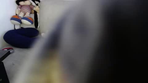 Snapshot of raycatt chatting on 10, 11, 2025 Ray online show from 10, 11, 2025