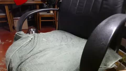 Snapshot of raysmith77777777 chatting on 16, 12, 2024 Ray online show from 16, 12, 2024