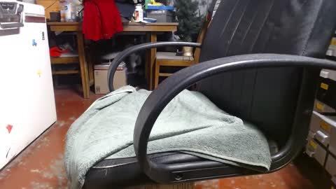 Snapshot of raysmith77777777 chatting on 22, 12, 2024 Ray online show from 22, 12, 2024