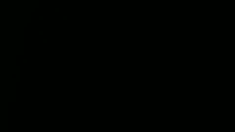 Snapshot of raysmith77777777 chatting on 29, 12, 2024 Ray online show from 29, 12, 2024