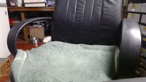 Snapshot of raysmith77777777 chatting on 31, 12, 2024 Ray online show from 31, 12, 2024