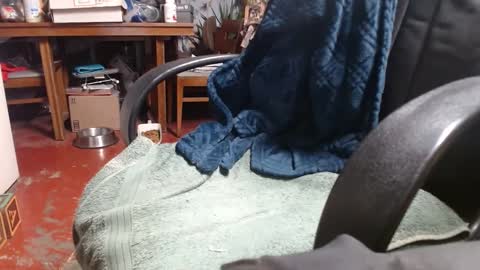 Snapshot of raysmith77777777 chatting on 1, 1, 2025 Ray online show from 1, 1, 2025