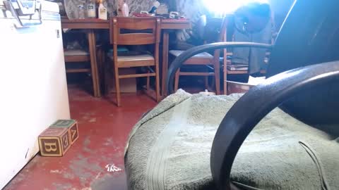 Snapshot of raysmith77777777 chatting on 4, 1, 2025 Ray online show from 4, 1, 2025