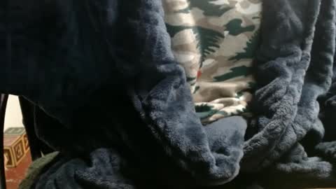 Snapshot of raysmith77777777 chatting on 7, 1, 2025 Ray online show from 7, 1, 2025