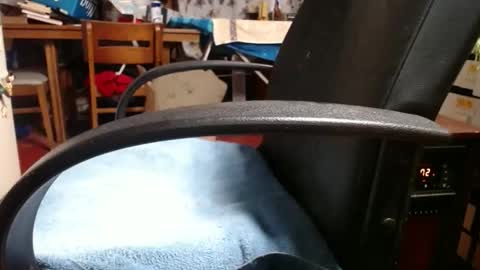 Snapshot of raysmith77777777 chatting on 4, 11, 2025 Ray online show from 4, 11, 2025