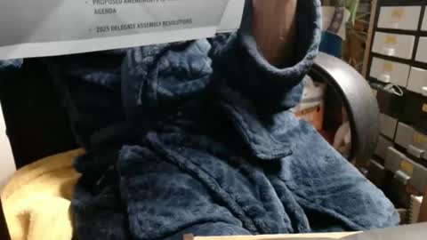 Snapshot of raysmith77777777 chatting on 23, 11, 2025 Ray online show from 23, 11, 2025