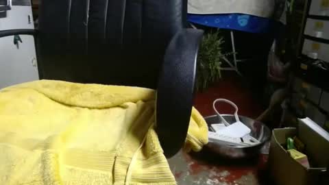 Snapshot of raysmith77777777 chatting on 27, 11, 2025 Ray online show from 27, 11, 2025