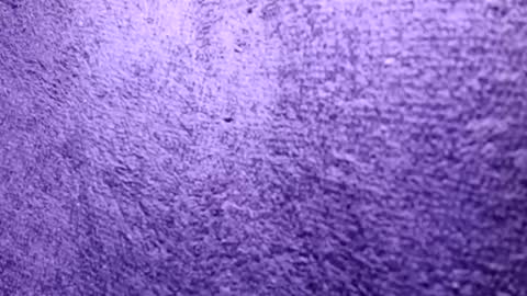 Rasta online show from 21, 10, 2025