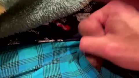 Snapshot of realbigload77 chatting on 23, 12, 2025 realbigload77 online show from 23, 12, 2025