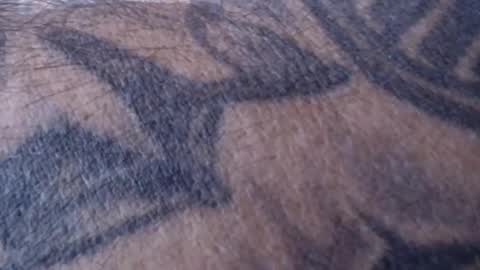 realrubpirate online show from 18, 1, 2025