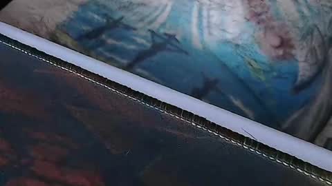 realrubpirate online show from 1, 4, 2026