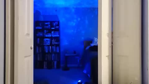 rebelstarlight online show from 16, 2, 2026