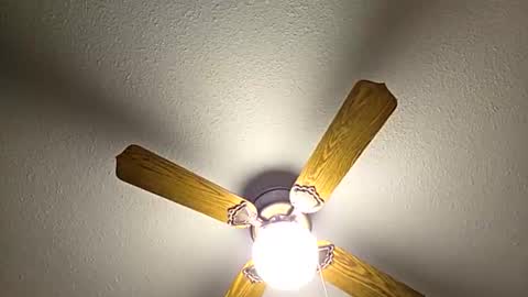 Snapshot of red24devils chatting on 2, 2, 2026 red24devils online show from 2, 2, 2026