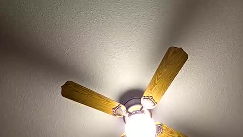 Snapshot of red24devils chatting on 18, 2, 2026 red24devils online show from 18, 2, 2026