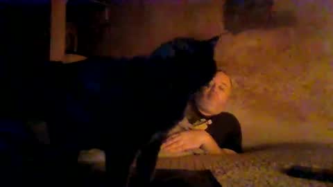 Snapshot of reddragon1195 chatting on 4, 4, 2026 reddragon1195 online show from 4, 4, 2026