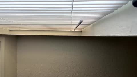 Snapshot of redsoilclay chatting on 27, 9, 2025 redsoilclay online show from 27, 9, 2025