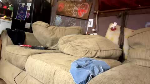 Snapshot of reeferleefer chatting on 3, 8, 2026 Lee online show from 3, 8, 2026
