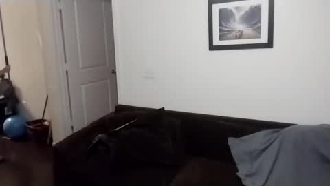 shy online show from 21, 9, 2025