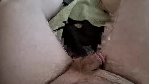 reggie007007 online show from 16, 1, 2026