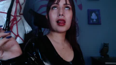 Regina online show from 3, 6, 2026