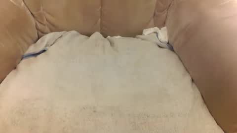 Mark online show from 22, 3, 2026