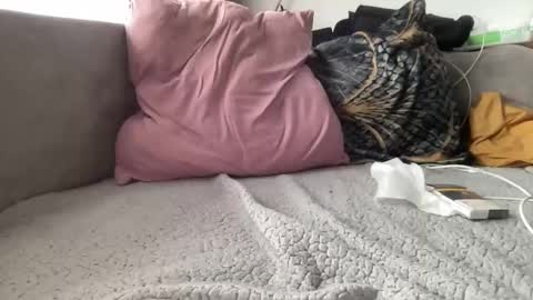 Snapshot of reyna77 chatting on 22, 1, 2025 reyna77 online show from 22, 1, 2025