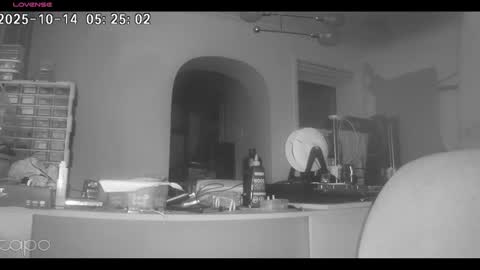 Snapshot of reza240782 chatting on 14, 10, 2025 reza240782 online show from 14, 10, 2025